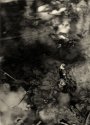 The Waters of Utopia - Romantic Wanderer Series #44