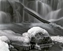 Ice Form #8