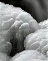 Ice Form #1