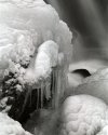 Ice Form #2