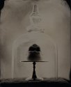 Bell Jar 1