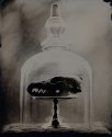 Bell Jar 2