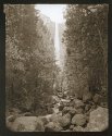 Bridlevail falls, 2008