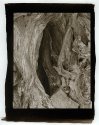 Root and Rock, Maripose Grove 2008