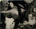 ambrotype - pile of skulls