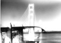 The Bridge