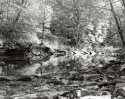 cedar bluff creek