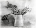 Pordelain Pot and Leaves