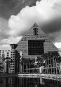 Dolphin Hotel in Orlando Florida