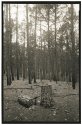 Lost Pines - Bastrop State Park