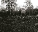 year 2 remains of a battlefield?