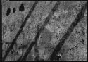 wall shadow