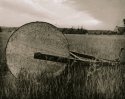Grass Roller