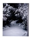 Snow!