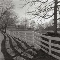 Fences