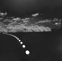 More from the  "near Infrared" Film