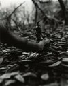 Romantic Wanderer Series #5