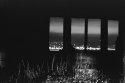 nocturnal sunrise part 6