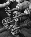 Valve Handles