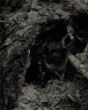 Romantic Wanderer Series #9 - Playing in the Dirt
