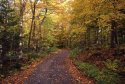 Fall Road
