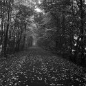 path