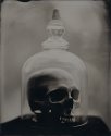 Bell Jar 6