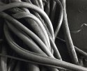 Kelp Knot