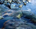 Wet rocks