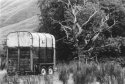 Old horsebox