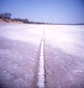 Track to nowhere