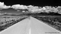 Road to the Dunes