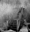 Down to the Lake 2