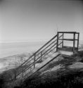 Down to the Lake 3