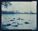 my first cyanotype