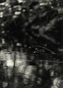 Romantic Wanderer Series #16 - Drowning