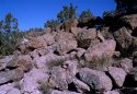 Beauty Mesa
