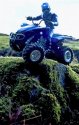 Quad Running