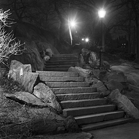 Steps - Central Park
