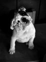 Betty