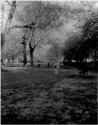 gage park IR