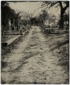 Road - Oakwood Cemetery