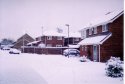 Virgin Snow
