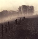Watership Down