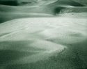 Wet dunes