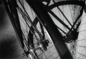 Single Speed