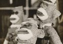 Sock Monkeys in Lith, Paducah, Kentucky