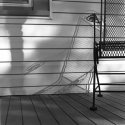 Afternoon light