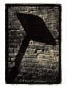 slavich wall