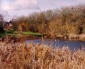 Spring Pond